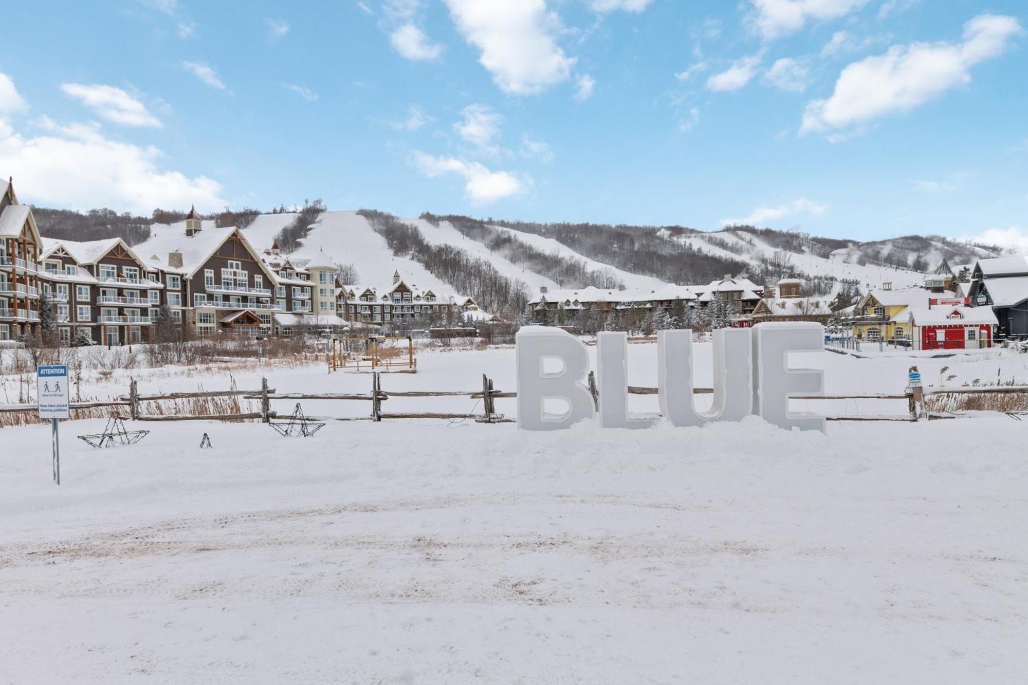Lovely 3 Bedroom Wintergreen Retreat W Sauna Blue Mountains Exteriör bild